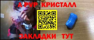 крисы Донской